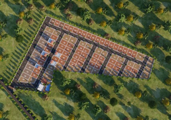 IS A SANDALWOOD PLOT A GOOD INVESTMENT IN THE REAL ESTATE SECTOR?